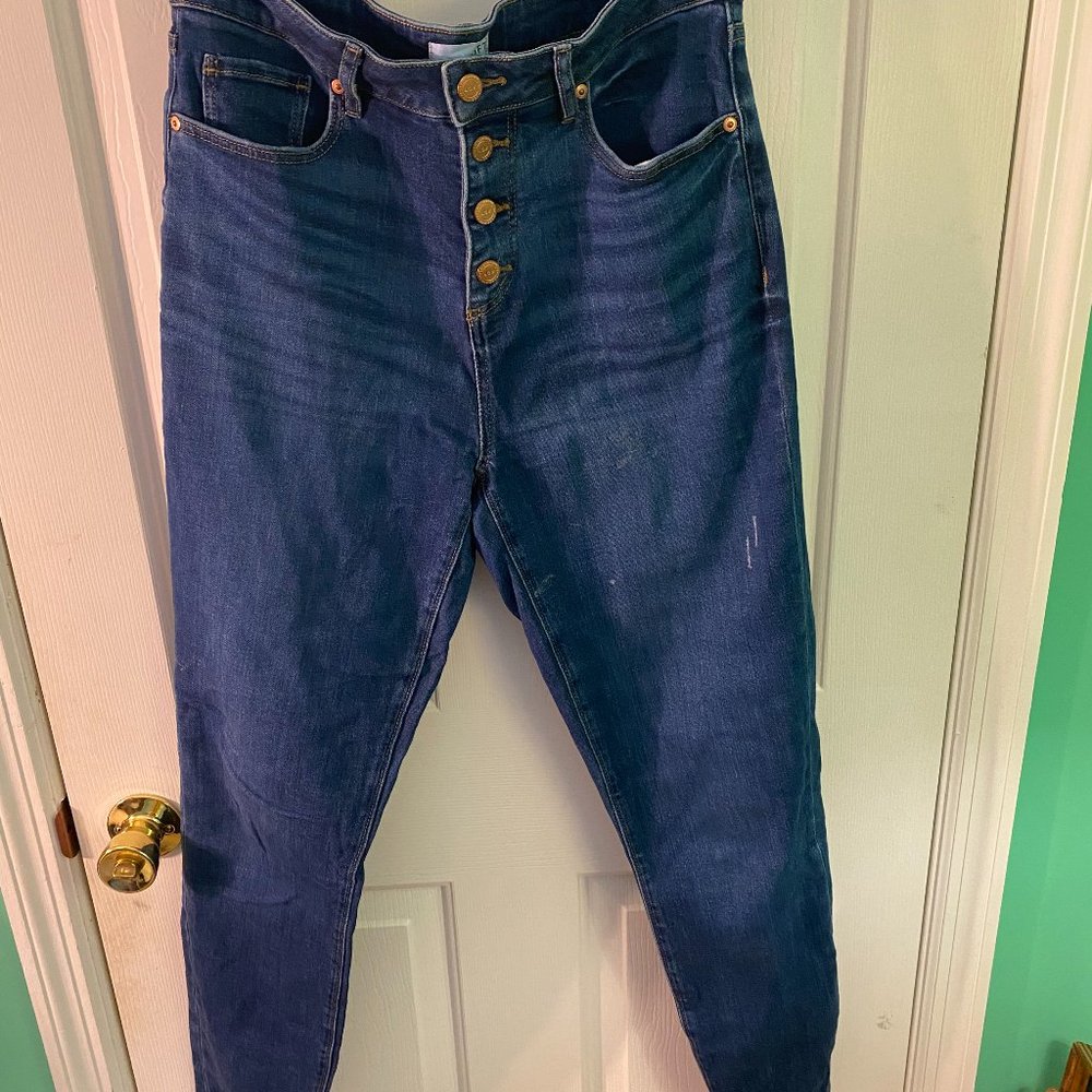 LOFT CURVY HIGH WAISTED SKINNY JEANS